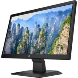 HP V20 19.5" HD+ LED LCD Monitor - 16:9 - Black